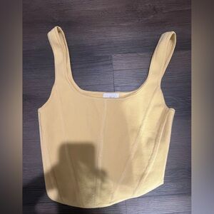 Aritzia Corset